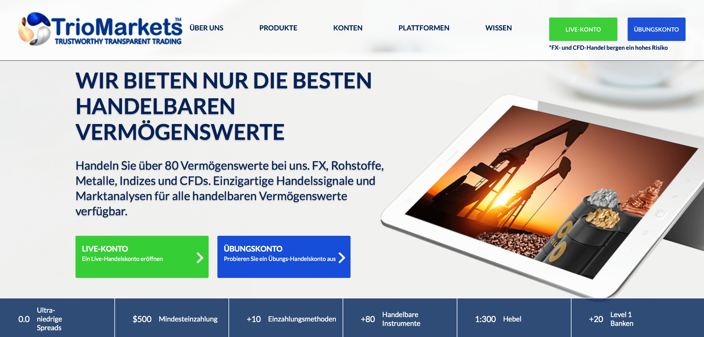Die Website ist übersichtlich und optisch ansprechend