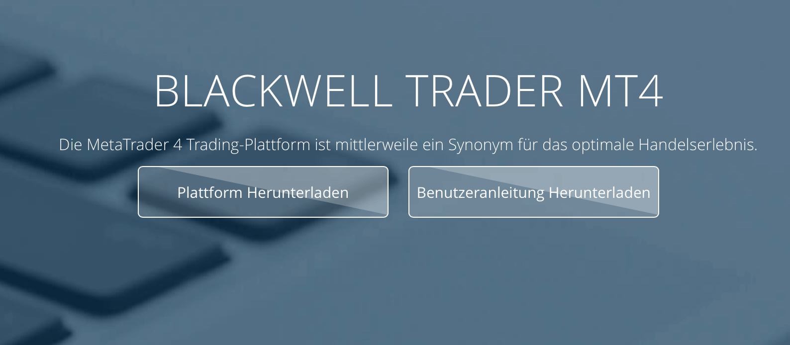 Blackwell bietet Trading mittels MT4