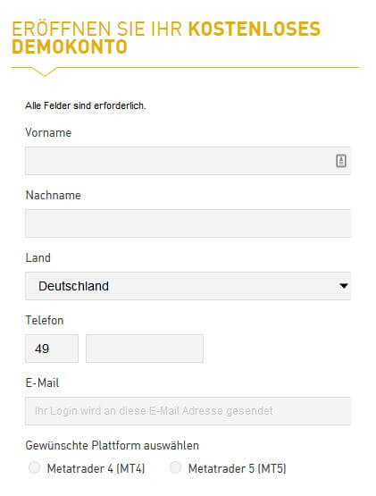 Das Demokonto wird mit Hilfe eines Formulars eröffnet